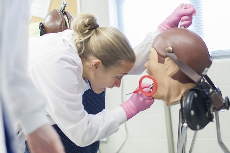 Students practicing dental cleaning techniques. 