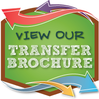 green background with bright colored arrows moving in different directions with View Our Transfer Brochure in white lettering